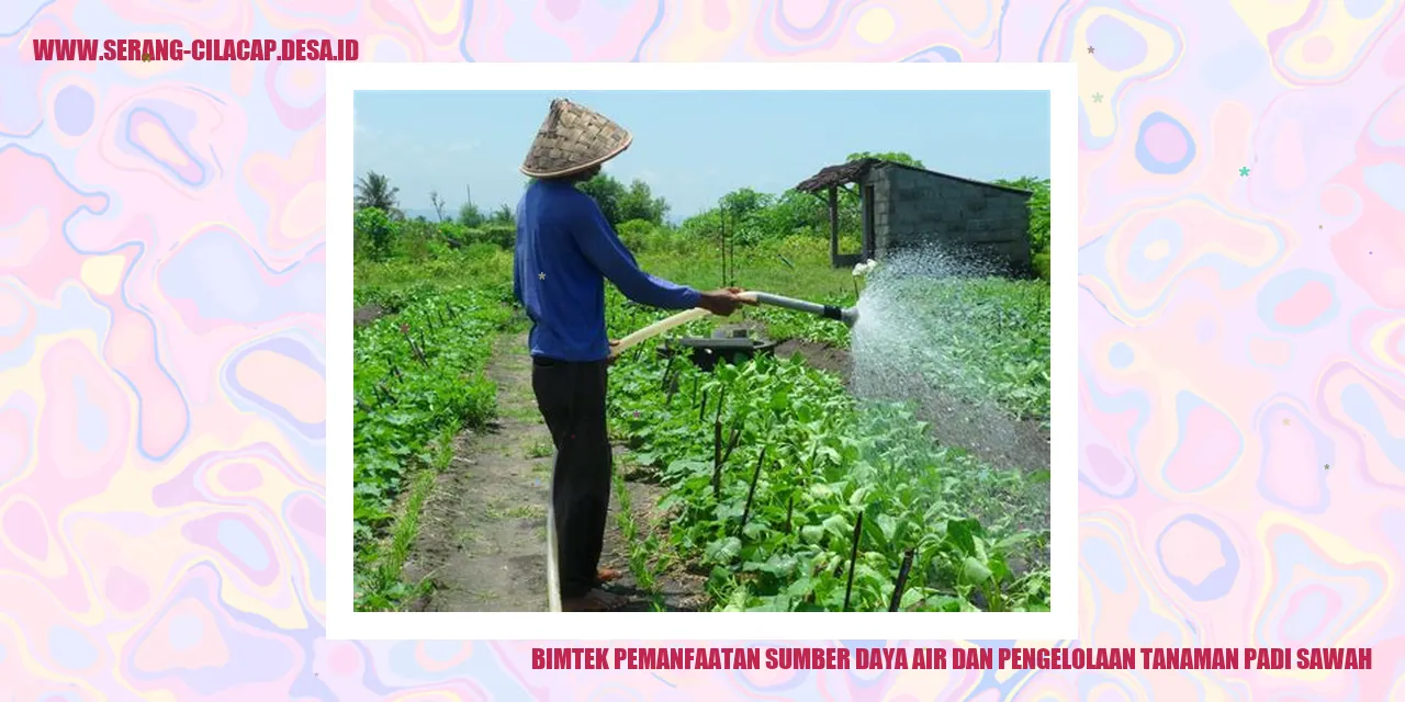 Bimtek Pemanfaatan Sumber Daya Air dan Pengelolaan Tanaman Padi Sawah