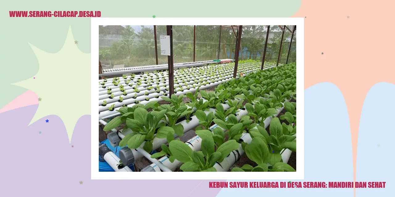 Kebun Sayur Keluarga di Desa Serang: Mandiri dan Sehat