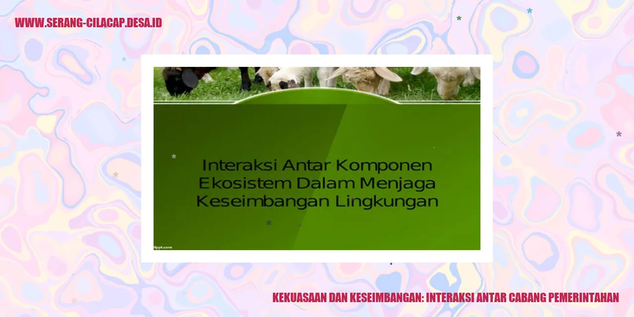 Interaksi Antar Cabang Pemerintahan