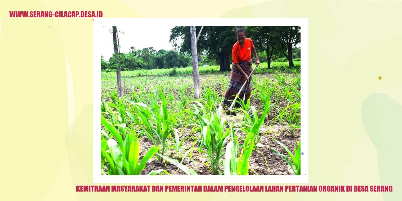 Kemitraan Masyarakat dan Pemerintah dalam Pengelolaan Lahan Pertanian Organik di Desa Serang