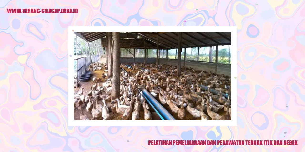 Ternak Itik