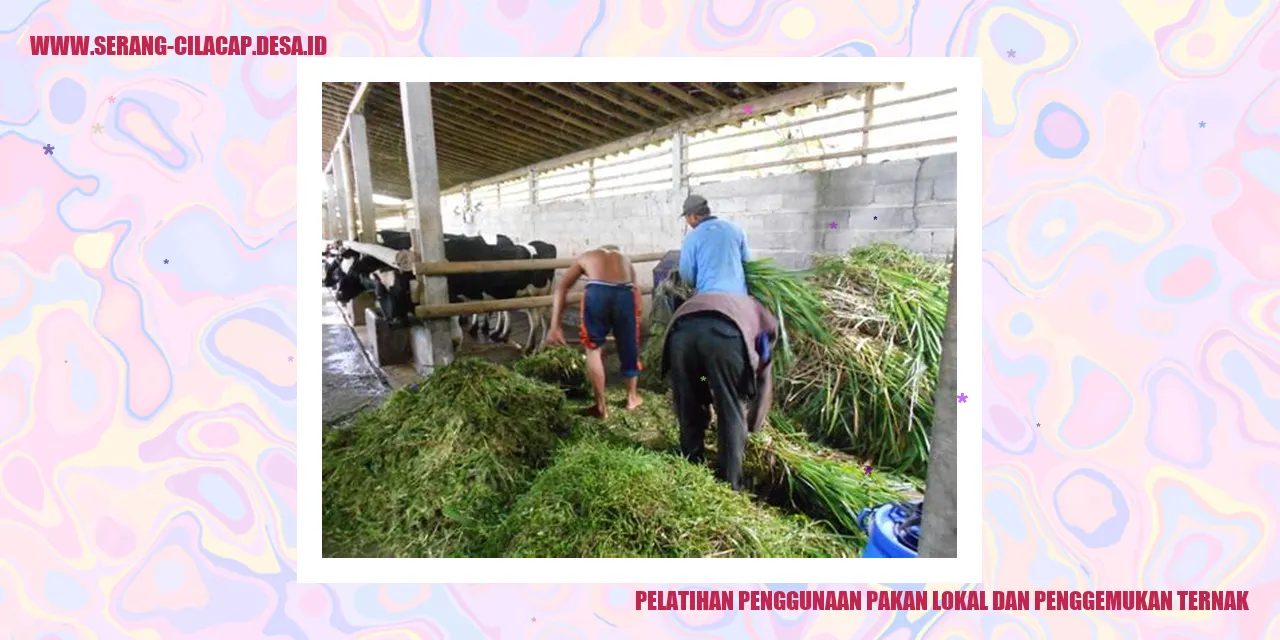 Pelatihan Penggunaan Pakan Lokal dan Penggemukan Ternak