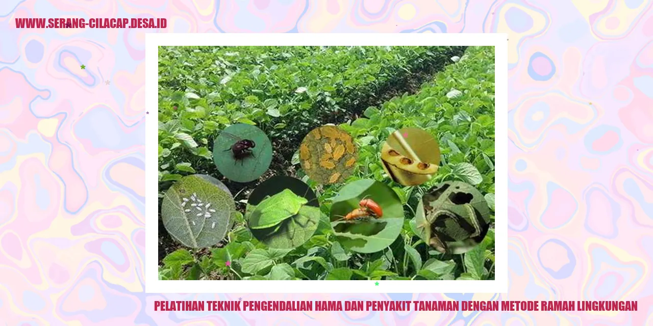 Pelatihan Teknik Pengendalian Hama dan Penyakit Tanaman dengan Metode Ramah Lingkungan