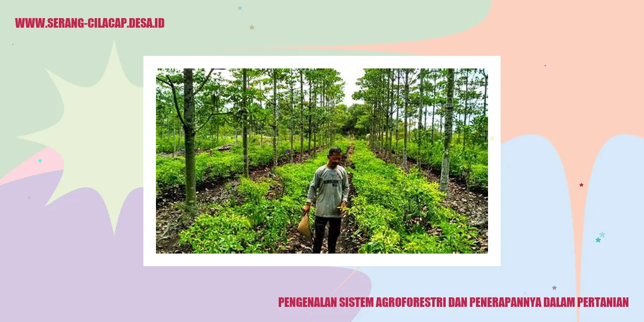 Tanaman Penutup Tanah