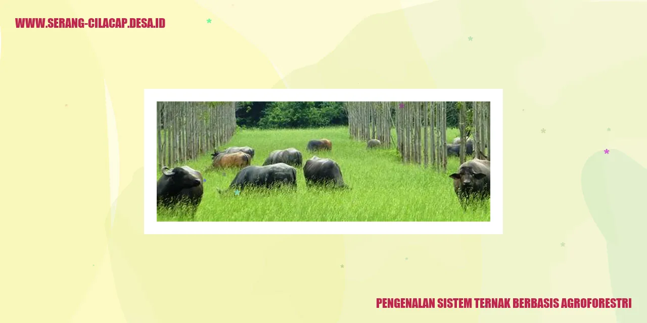 Ternak Berbasis Agroforestri