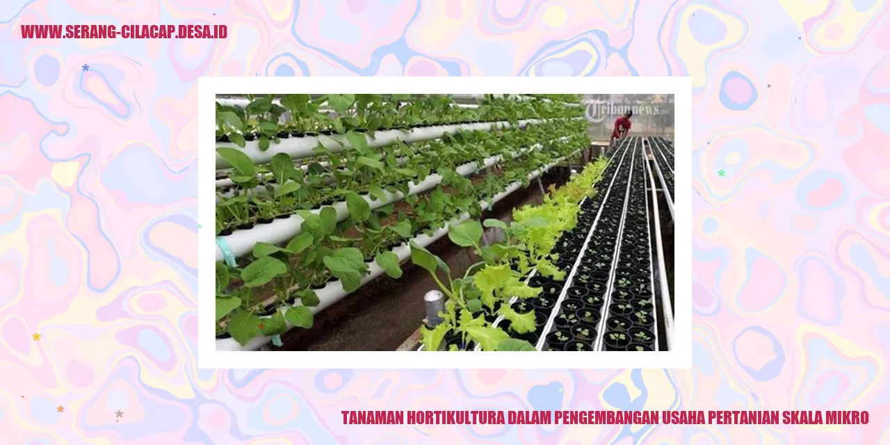 Tanaman Hortikultura
