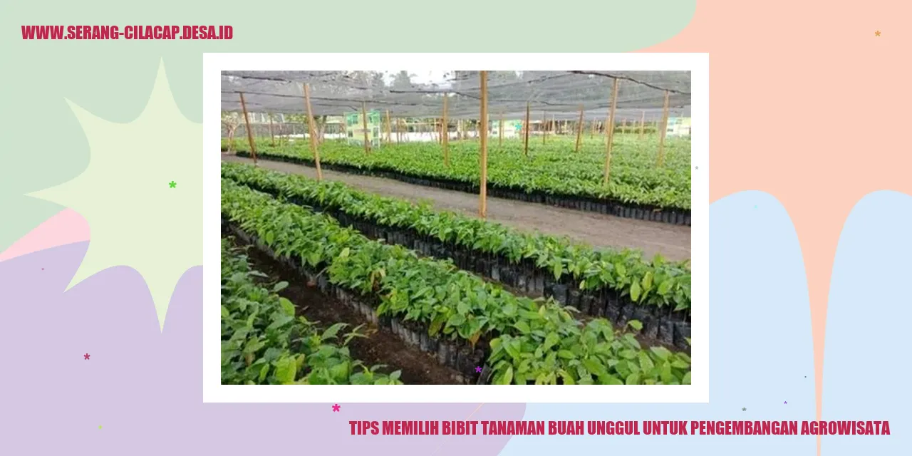 Tips Memilih Bibit Tanaman Buah Unggul untuk Pengembangan Agrowisata
